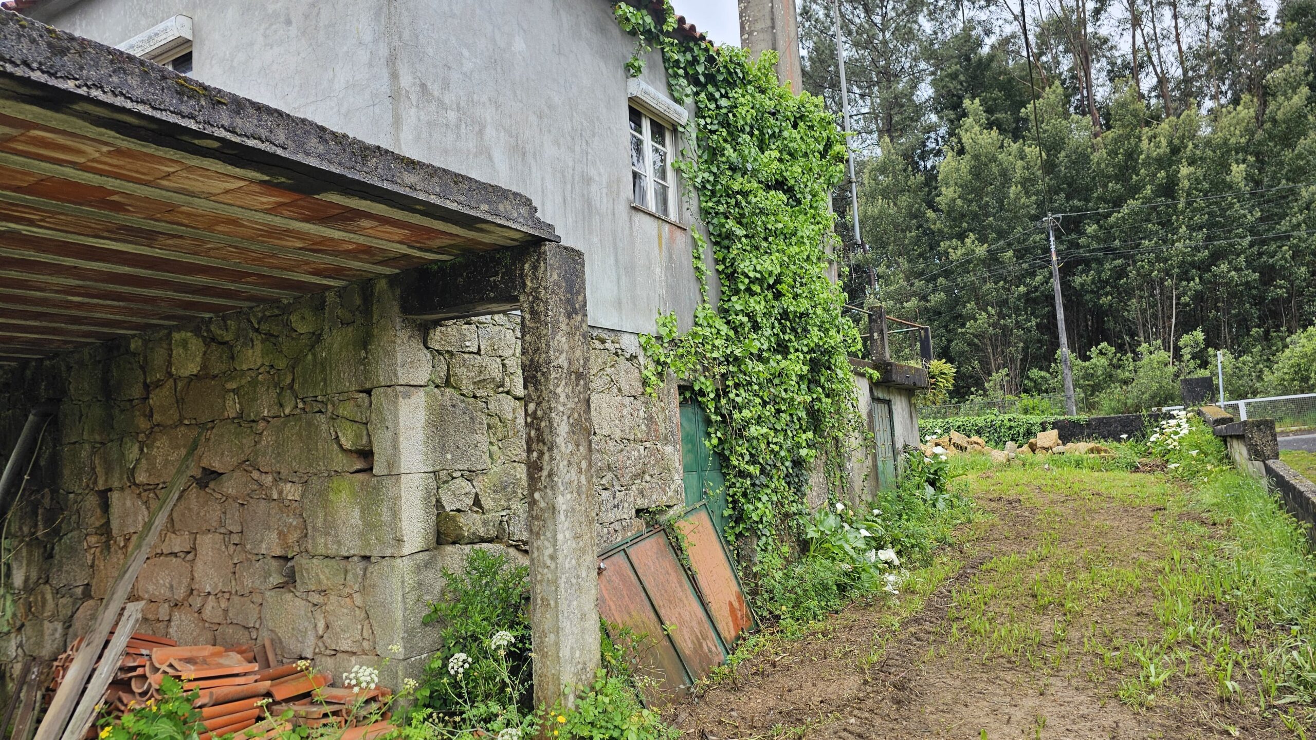 Lateral da Casa do Freixo e vegetação